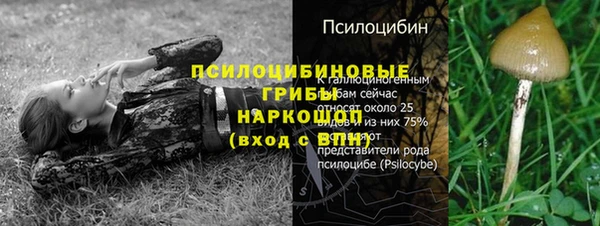 гашиш Абаза